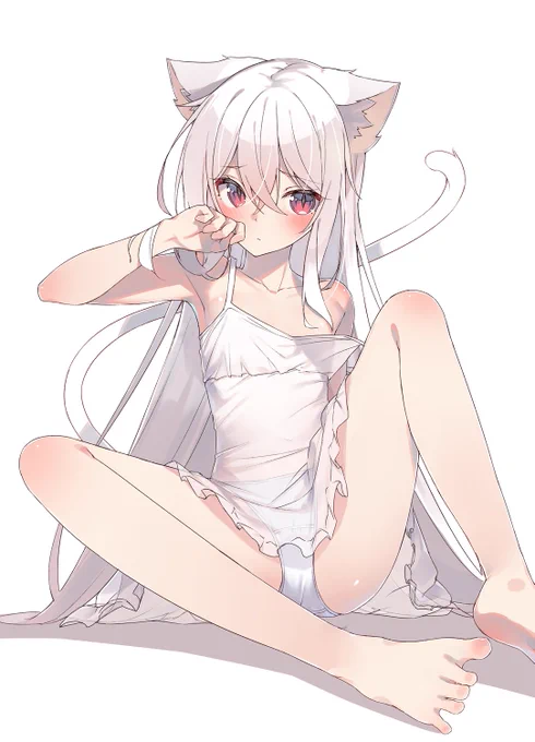 白猫ちゃん 