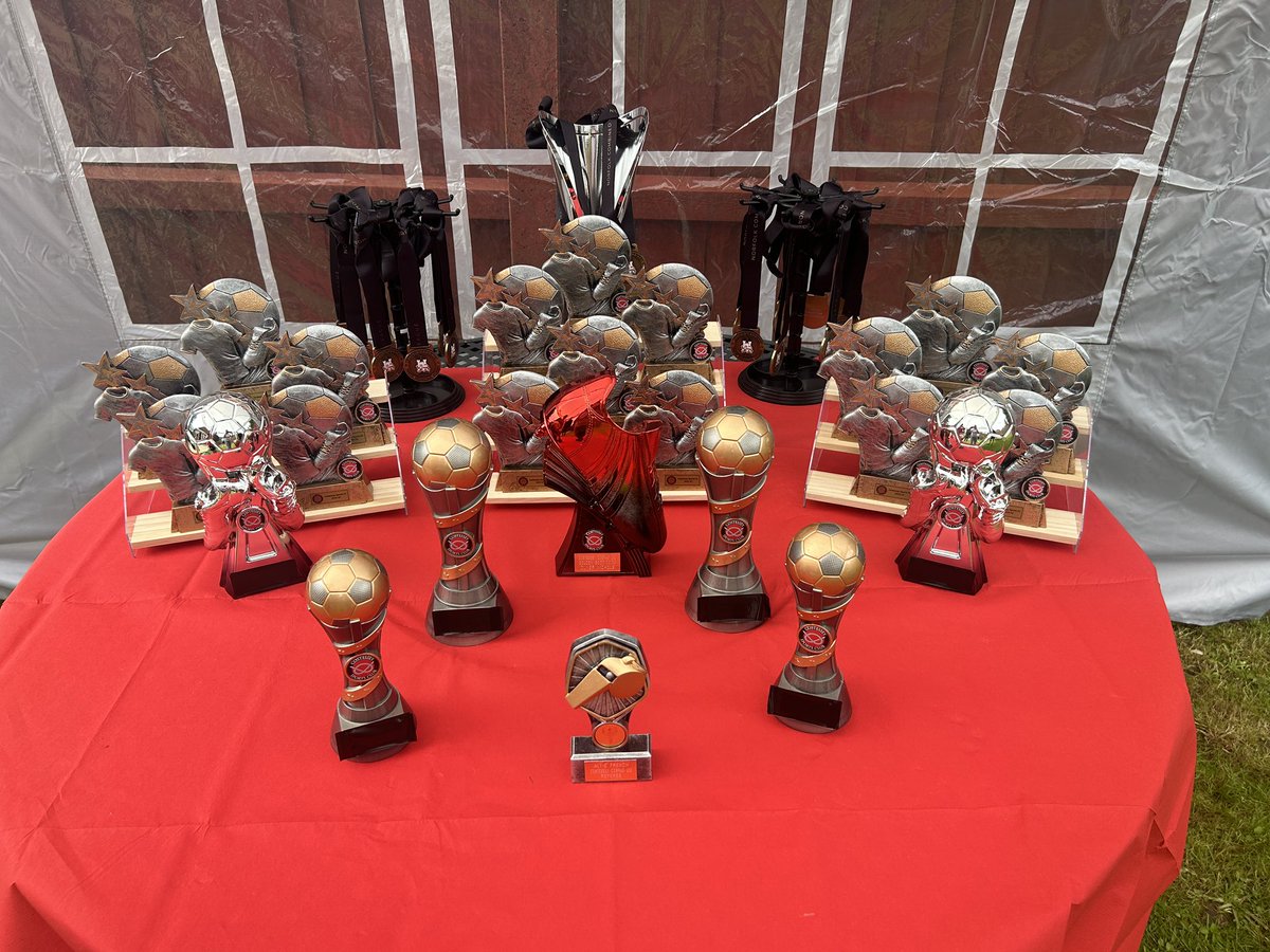 ehoff11's tweet photo. @CostesseySports  @NorfolkCYFL All set up for Costessey Cobras U12s presentation today!! https://t.co/HH5AS0Zirc