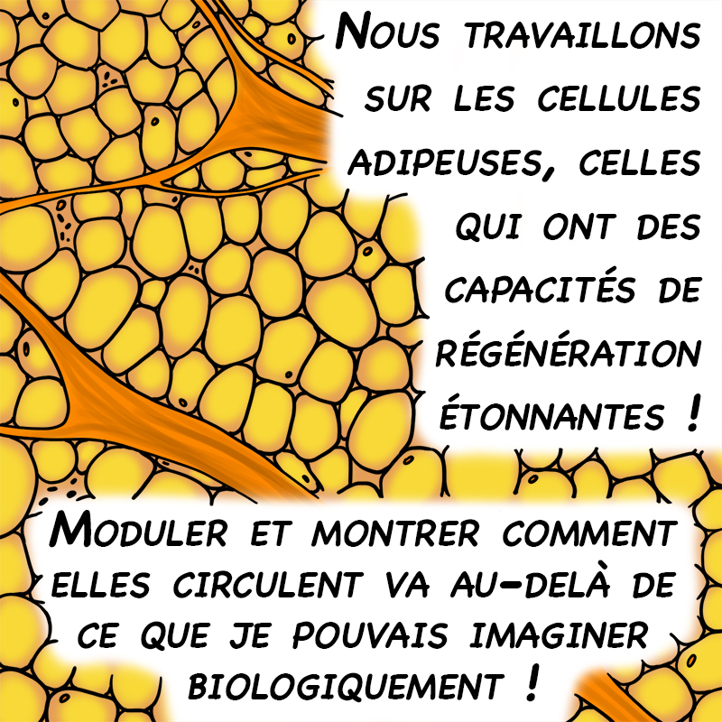 InScience Festival tweet media