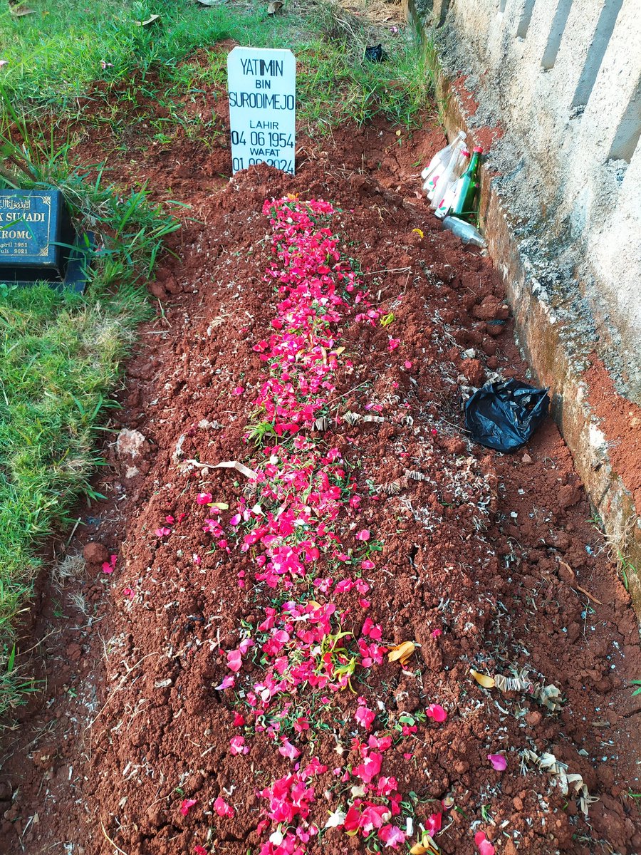 Anaphalis Javanica ☮ (@asharirevolvere) on Twitter photo 