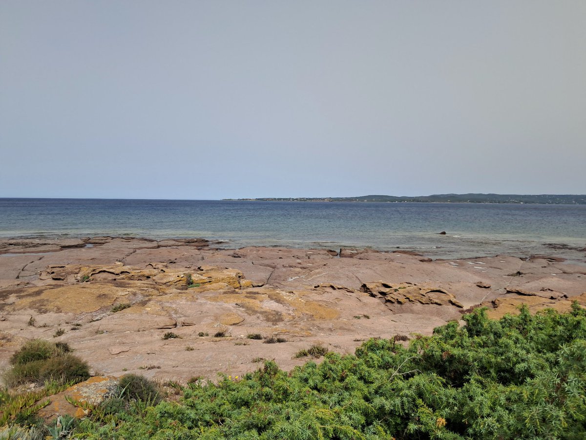 JuveIvy's tweet photo. Vi sembra che io sia in vacanza, invece pulisco questa villa sullo splendido mare di # Calasetta! 

Fuori è già pronto per gli ospiti! 

#Sardegna #finoallafine https://t.co/NPTlgrrY9c