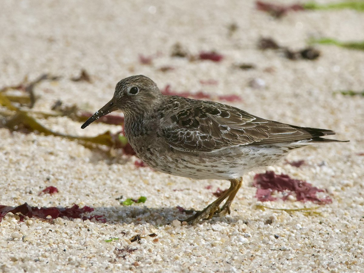 A different week working on The Scillies recently, thanks to all involved and great to see everyone.