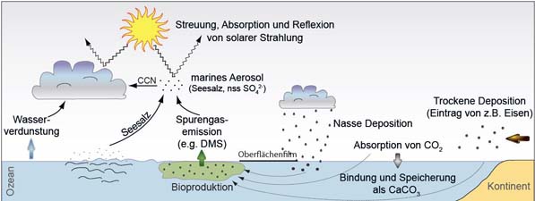 TROPOS_eu's tweet photo. Today is #UN World #Oceans Day (#WorldOceanDay @WorldOceansDay)! A good opportunity to showcase what TROPOS is doing on the #ocean-s: e.g. #OCEANET https://t.co/pfcB0Jwlqm or Marine #Aerosol: https://t.co/THSRdicVjJ --- #AC3TR @Uni_Leipzig @AWI_de @ACTRISRI #ACTRISDE @LeibnizWGL https://t.co/oBQQN6xbLx