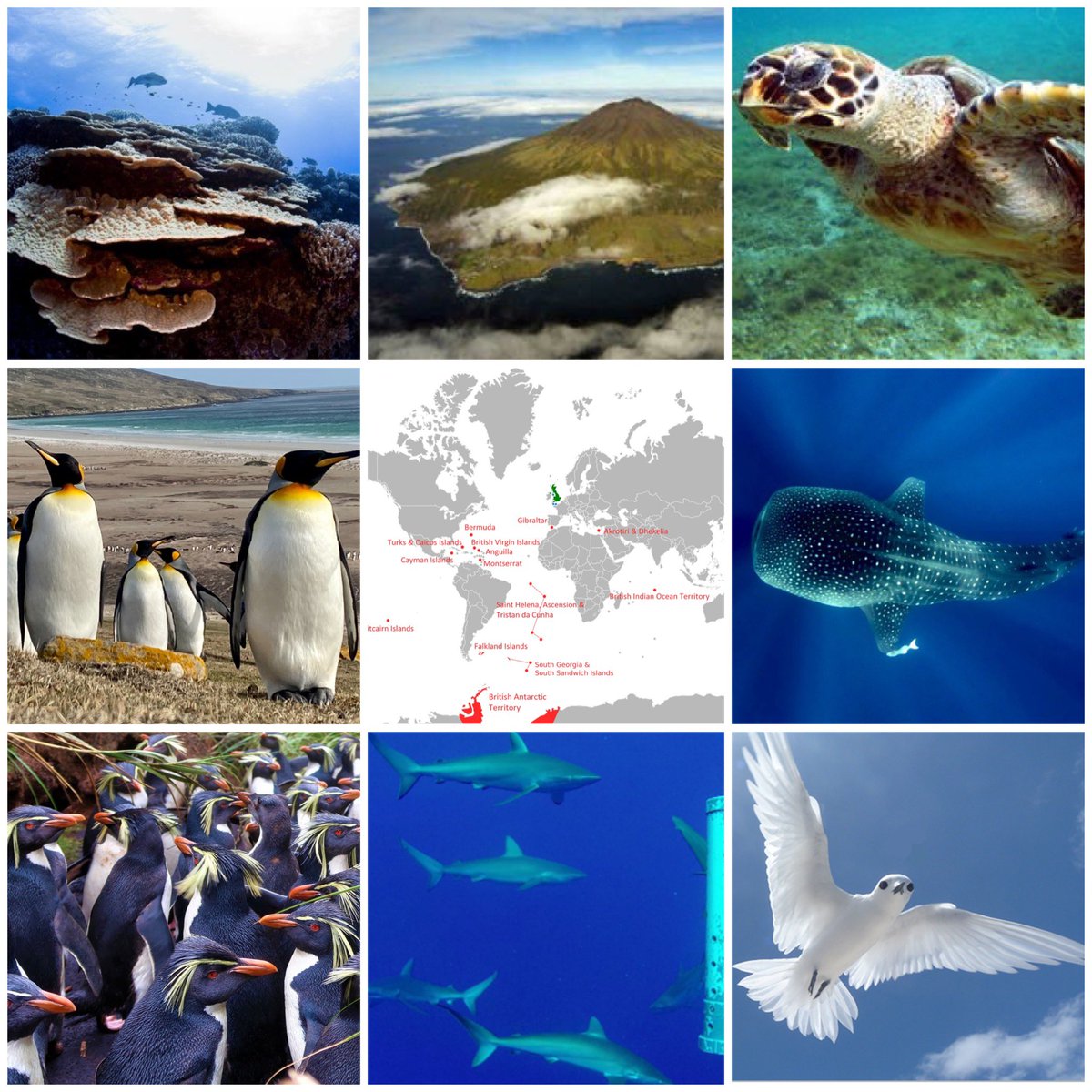 AdamPileUK🇬🇧 tweet media