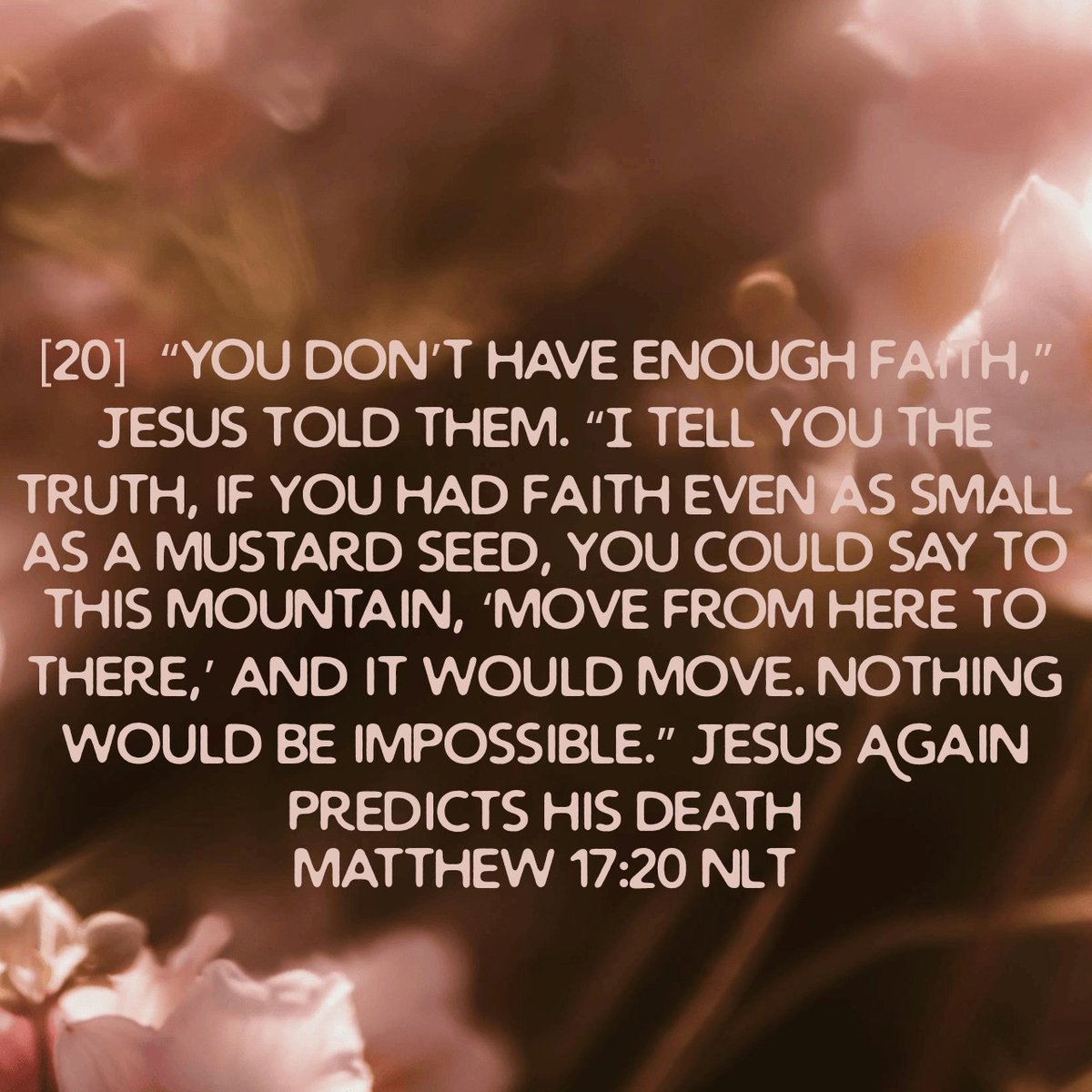 NewCoveFW's tweet image. Even the smallest faith can move mountains. #scripturesaturday #matthew17v20