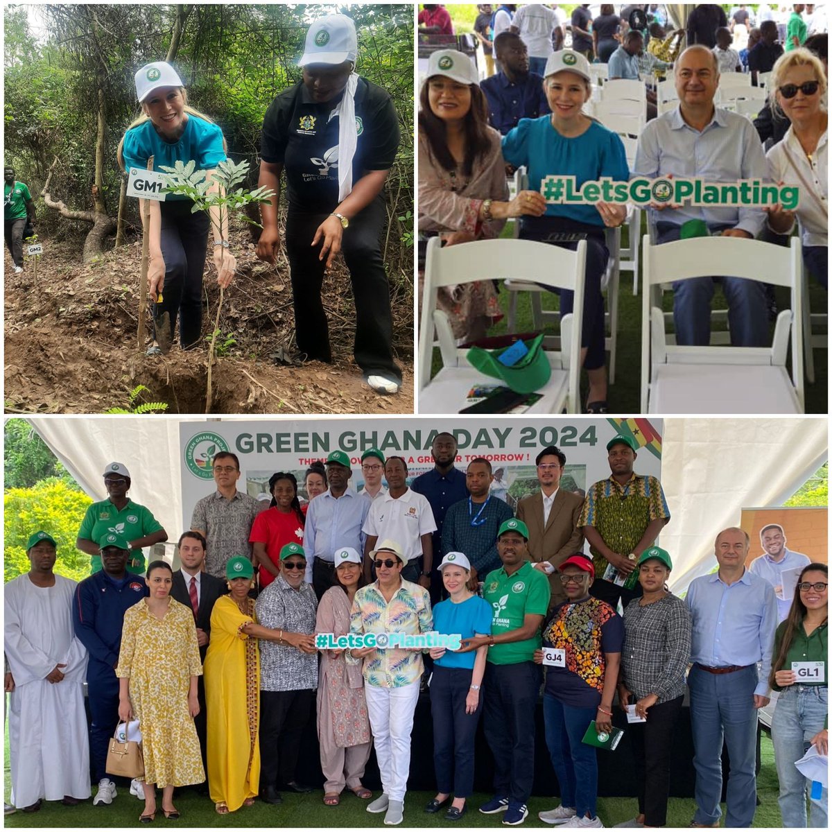 DanieladOrlandi's tweet photo. I was pleased to take part in the tree planting by the Diplomatic Corps at Achimota Forest on the occasion of #GreenGhanaDay2024.
I planted a mahogany seedling π±.
#Letsgoplanting
#Planting10millionTrees https://t.co/GLBUGx1sW8