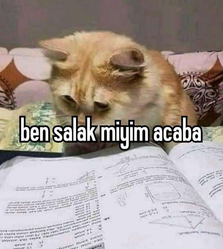 her felsefe sorusundan sonra; 
#yks2024