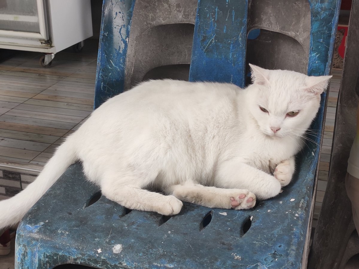 ถ้ามึงอนุญาตให้กูรักมึงได้เท่านี้ กูจะรักมึงได้ตลอดไป🍃#แคปชั่น #แคปชั่นเด็ด #แคปชั่นโดนๆ #แคปชั่นเสี่ยว #แคปชั่นเศร้า #แคปชั่นอกหัก #แคปชั่นโสด #แคปชั่นเด็ดๆ #แคปชั่นเหงา #ถูกทิ้ง #แคปชั่นอ่อย #แคปชั่นแอบรัก #คำคม #แคปชั่นกำลังใจ #คำคมเหงาๆ #คำคมไม่รัก #เจ็บจี๊ด #loveasdevil