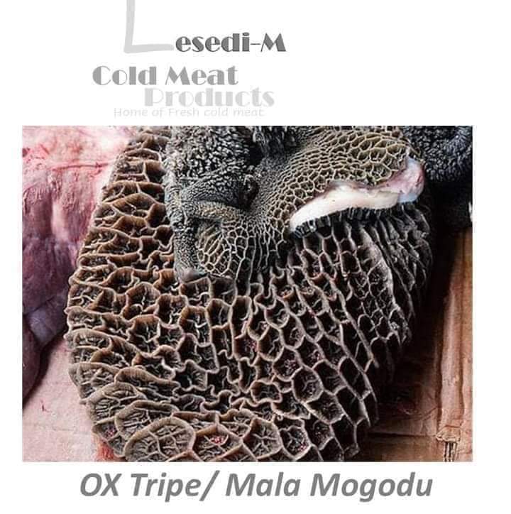 LesediHoldings's tweet photo. Warm up this winter 🥶 with our CLEAN, FRESH Malamogodu
We deliver for FREE around Gauteng , KwaNdebele, Bronkhorspruit, Witbank
📱Whatsapp or Call 067 368 9383 to place your order
Mk and PA | #StopDA | Government of National Unity | anc-eff-mkp | Pastor | Yaya | Eskom | MacG https://t.co/yNaoLiqtWa