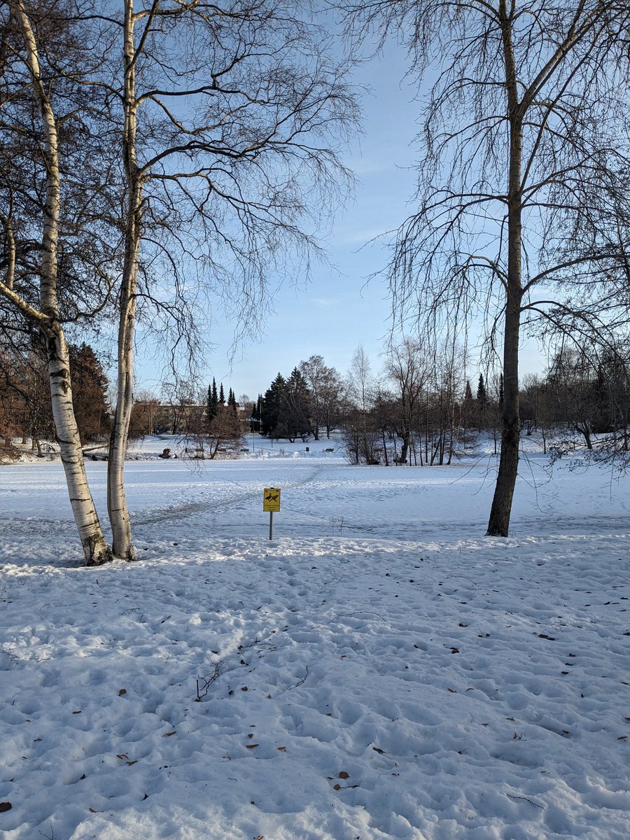sandritarocks's tweet photo. Finlandia ha sido una sorpresa constante. Este es el mismo parque pero con 4 meses de diferencia 😍 #Finland #Tampere https://t.co/LNh5kTb7Re