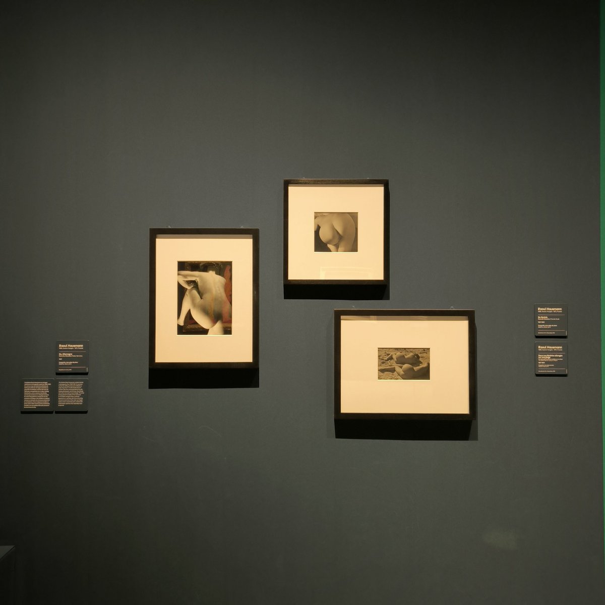 Beatriz González tweet media