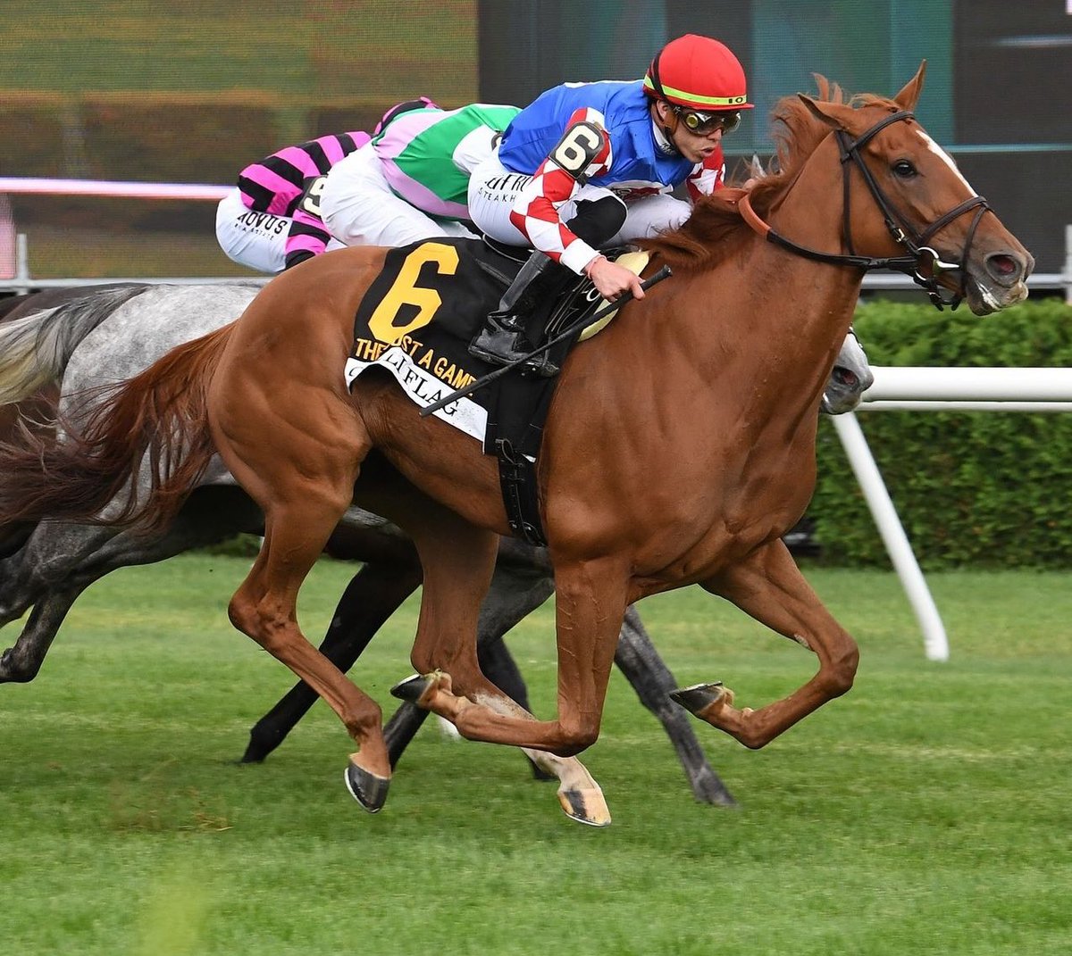 🏆 CHILI FLAG 🇫🇷 
(Irad Ortiz Jr. - Chad Brown)
JUST A GAME STAKES 2024 ($500,000) Saratoga <a href="/TheNYRA/">NYRA (🗽)</a> <a href="/iradortiz/">Iradortiz</a> <a href="/MadaketStables/">MadaketStables</a> <a href="/FinanzaLocale/">Gruppo Finanza Locale</a> <a href="/BreedersCup/">Breeders' Cup</a> <a href="/SteveRushing63/">Steve Rushing</a> 
📷 <a href="/coglianesephoto/">Coglianese Photos</a>