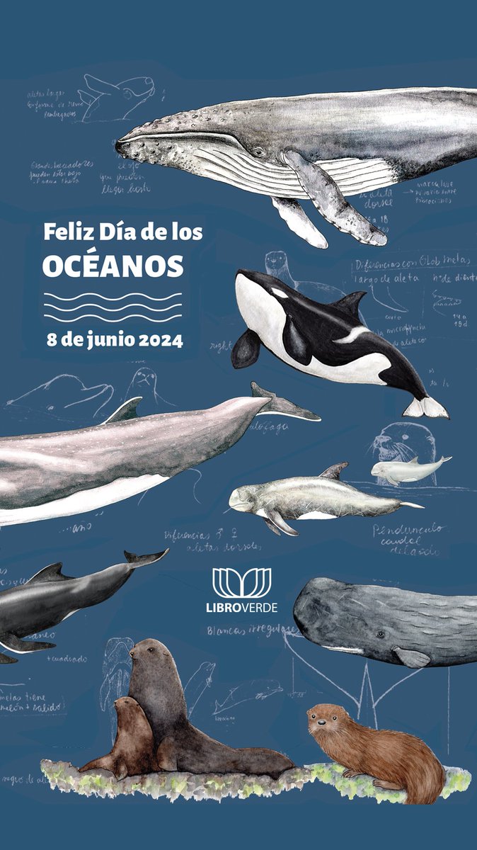 Feliz Día de los Océanos.

Hoy saludamos a quienes dedican su vida a la divulgación y conservación de los océanos. 

Que las especies que habitan el mar, sigan inspirándonos y moviéndonos a lucha del ecosistema más grande del planeta.

#DíaDeLosOcéanos #DíaMundialDeLosOcéanos