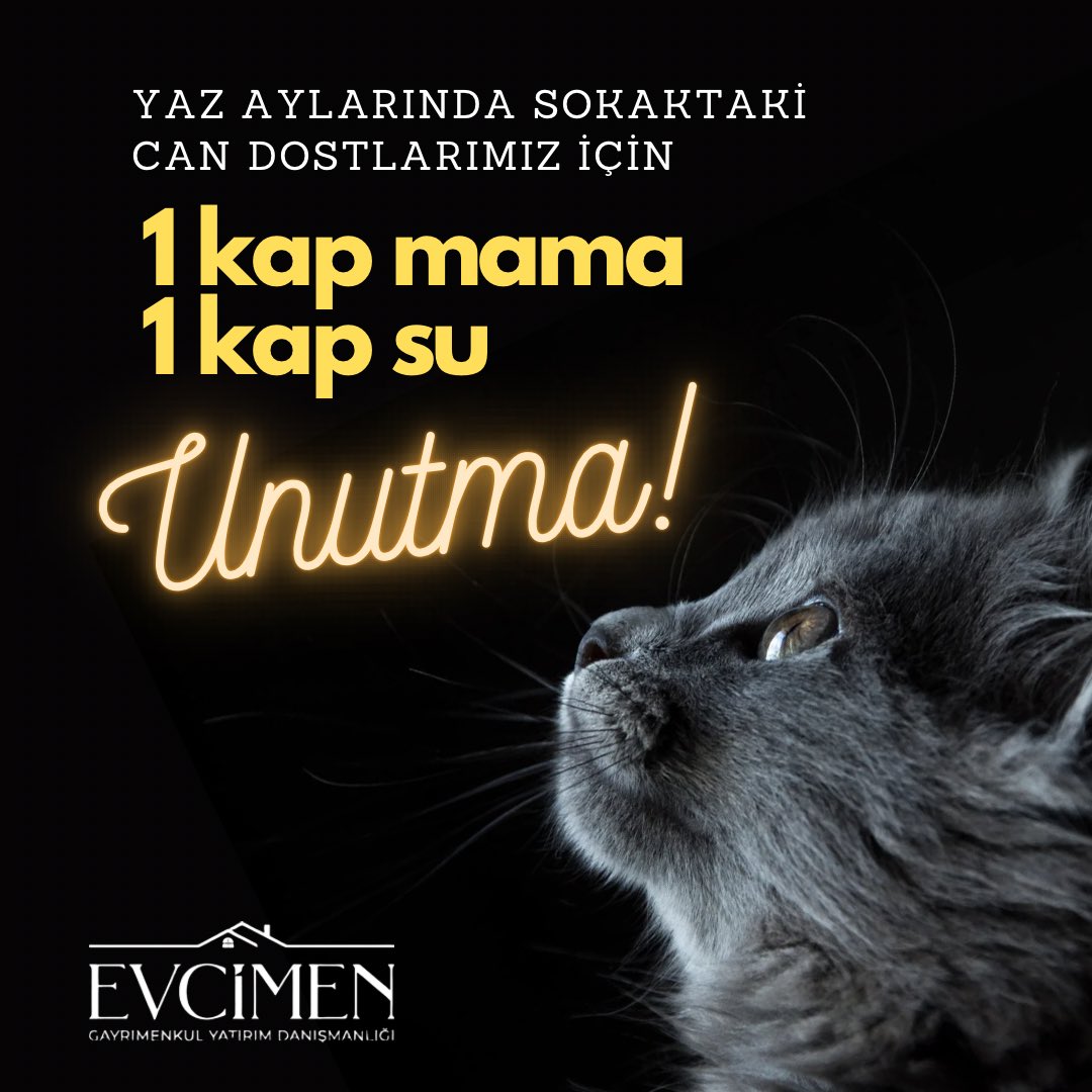 evcimenemlak's tweet photo. Bunaltıcı sıcakların yaşandığı yaz aylarında sokak hayvanlarımız için kapımızın önüne 1 kap su, 1 kap mama koymayı unutmayalım.🐶
#evcimengayrimenkul #1kapsu #1kapmama #sokakhayvanları #su #izmir #seferihisar #akarca #sığacık https://t.co/qefxMmoiZN