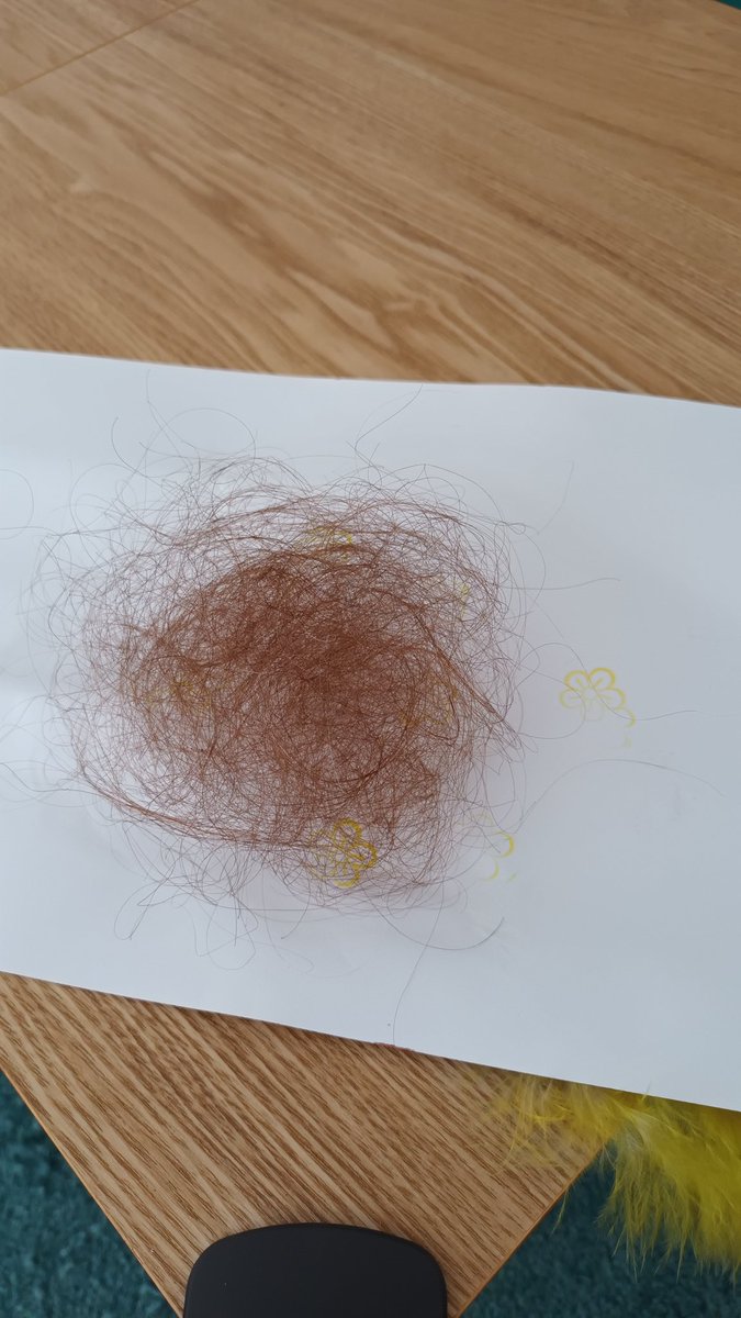 Par pitié quand quelqu'un sous chimio vous dit qu'il va perdre ses cheveux ne lui dites pas "ça dépend c'est pas obligé, et puis je connais quelqu'un qui..." ou "t'inquiètes ça repousse et ils seront encore plus beaux..." les oncologues savent ce qu'ils nous injectent