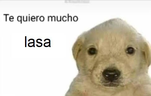 #PTKDAY 

Debutamos con una nueva squad en la CLASI. 1 - YES OF CORSA CUP organizada por <a href="/Rosdri_Twitch/">Rosdri</a>, @Opel_Spain y <a href="/GIANTXES/">GIANTX</a>. 
Vamos a hacer historia.

<a href="/LasaRL_/">Lasa</a>
<a href="/pzy_rl/">pzy</a>
<a href="/JaziiRL/">Jazii</a> 

VAMOS JODEG

#ForzaPetankos #NuncaCaminarasSoloForzaPetankos #PetankosForce