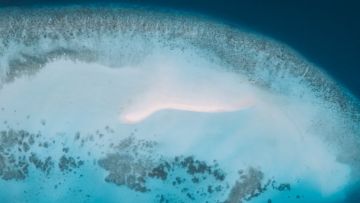 reethi_beach's tweet photo. Experience the magic of the Baa Atoll sandbank with our Ocean Fanatics team at Reethi Beach Resort!
#ReethiBeachResort #ReethiBliss #ReethiBeach #LoveReethi #ReethiMagic #SandbankMagic #BaaAtoll #OceanFanatics #ReethiAdventures https://t.co/ogp8UbscYU