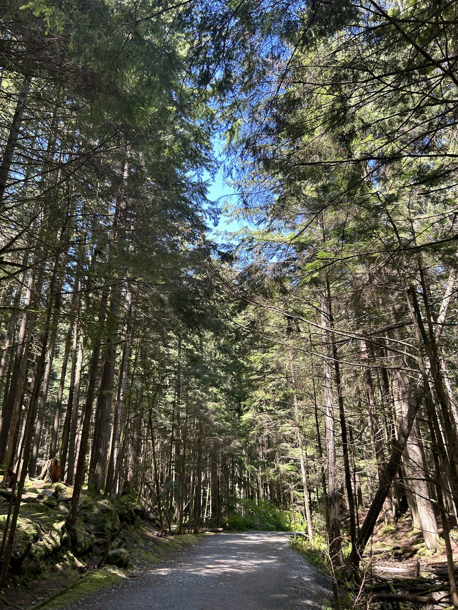 Soul00997446's tweet photo. Into the woods again 💆‍♂️ #ucwcomm205 https://t.co/Q3uUtHNXZC