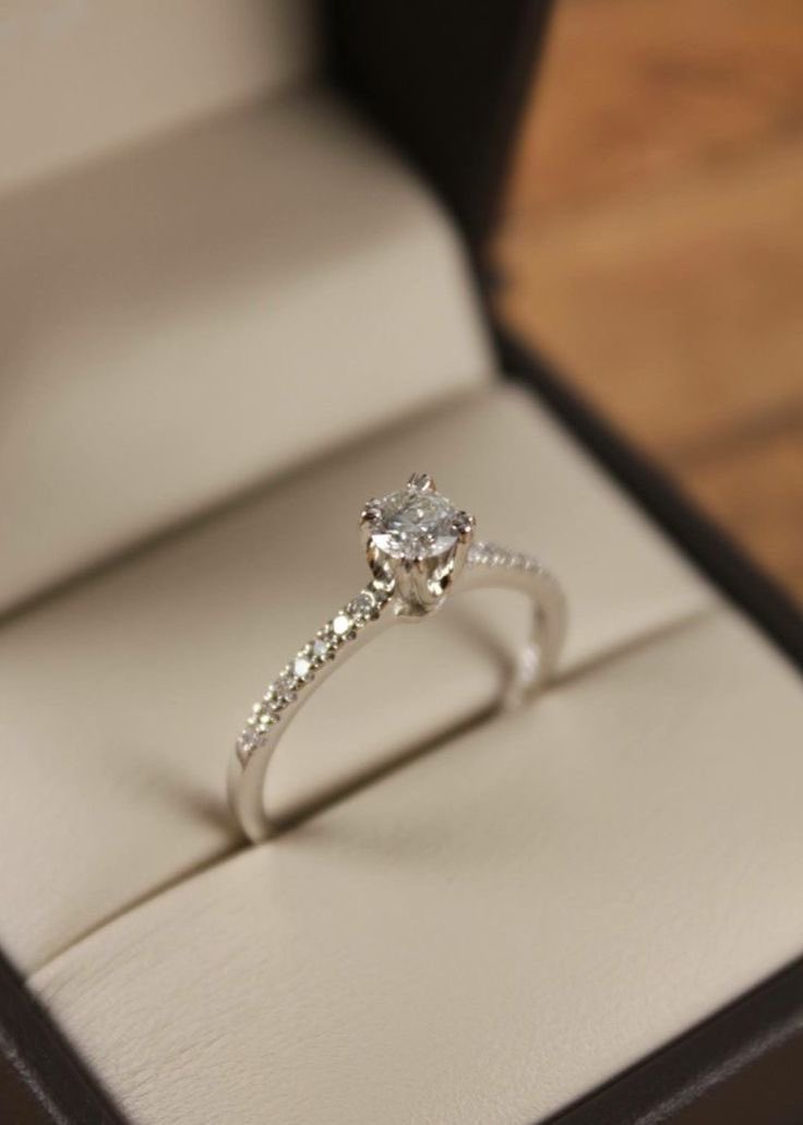 تولـيـب | tweet media