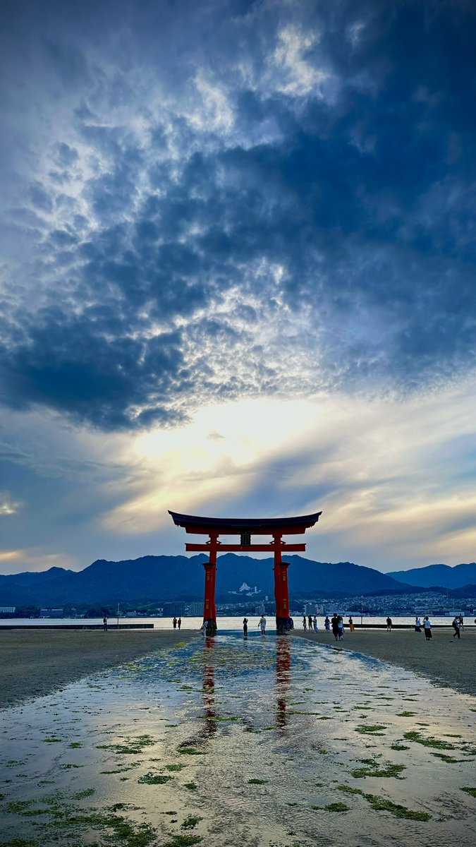 jinda_pic's tweet photo. 昼夕夜朝 #じんぴの写真 https://t.co/XZvkDlqmrp
