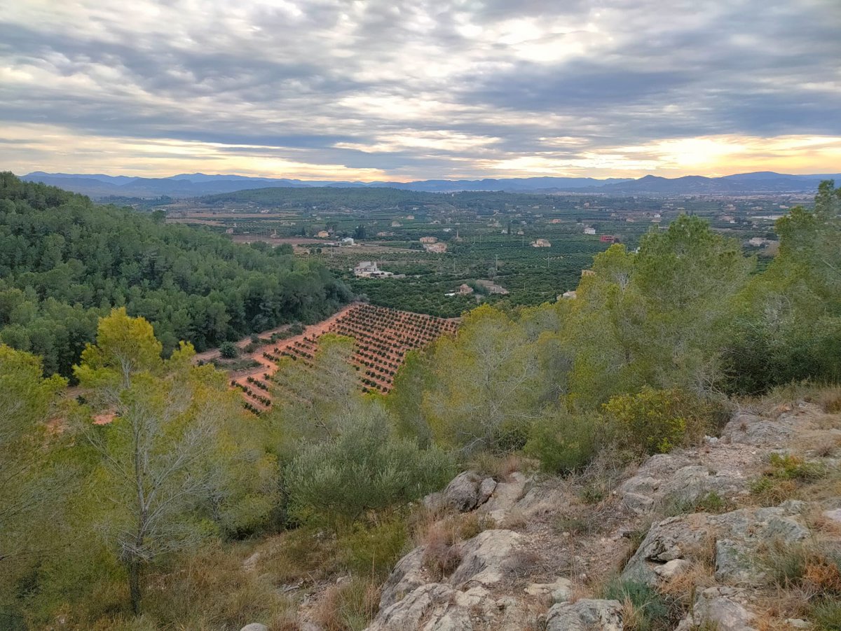 Estem veient masses d'arbrat secant-se i morint per la #sequera

Això és combustible per a #IncendisForestals d'alta intensitat i el preludi d'una situació complexa

Cal extremar la precaució per evitar accidents, i assumir la necessitat urgent d'actuar #GestióForestal #Adaptació