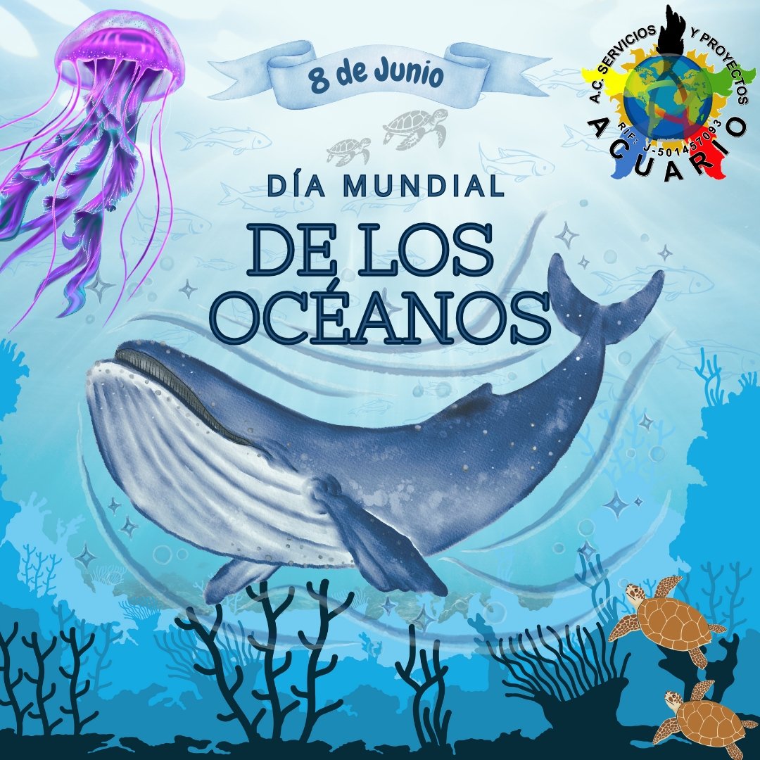 SYP_ACUARIO's tweet photo. Este día 8 de junio, en Servicios y Proyectos Acuario conmemoramos  el Día Mundial de los Océanos, una fecha crucial que homenajea a los vastos mares que cubren más del 70% de la superficie terrestre, y reconocer su vital importancia para la vida en nuestro planeta. 
#08deJunio https://t.co/h27urtPXc7