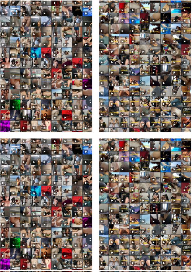 绿司机 tweet media