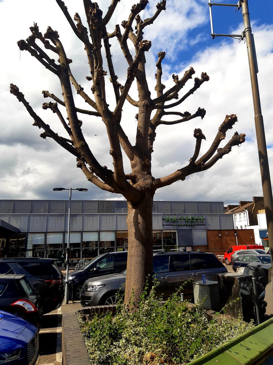 Paula Reynolds tweet media