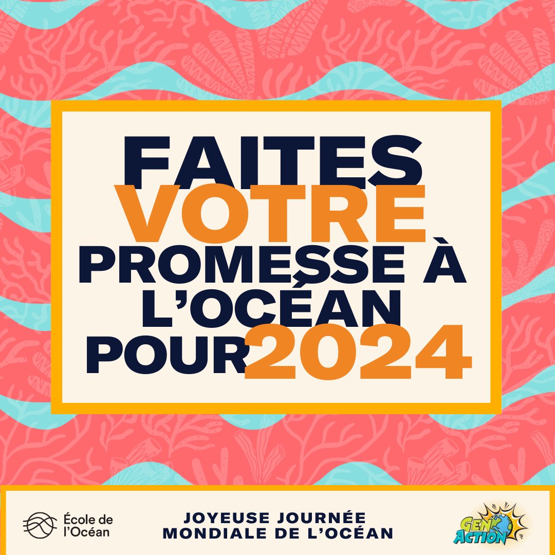 École de l’Océan 🐋 tweet media