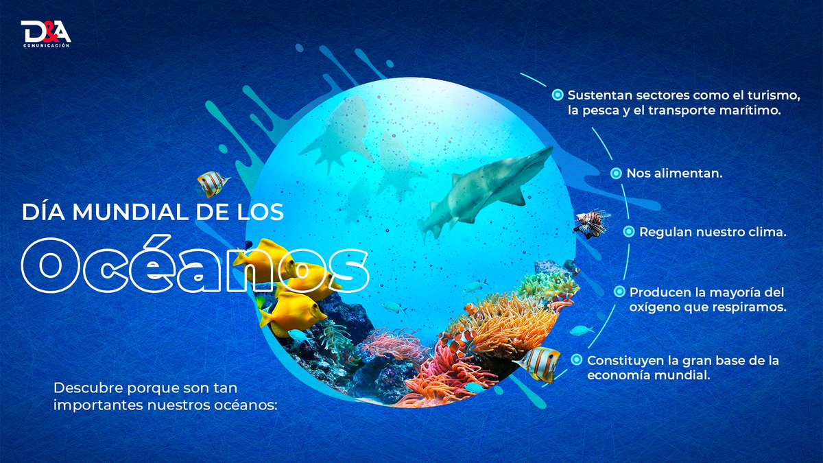 En el #DíaMundialDeLosOcéanos, reflexionemos sobre la importancia de preservar nuestros mares y la vida marina. 🌊