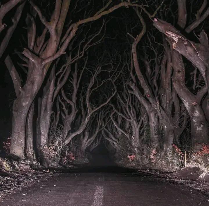 mus_toyy's tweet photo. Walk here alone at 2:00AM or go back to your ex?🙂 https://t.co/Yp49dKIIjg