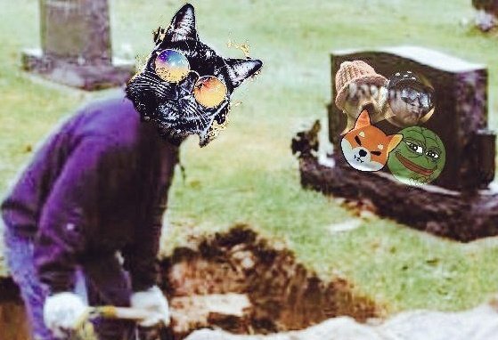 CypherCat tweet media