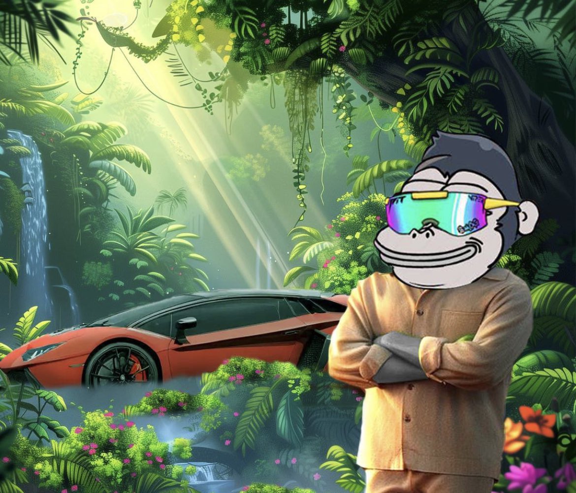 CryptoMocro tweet media