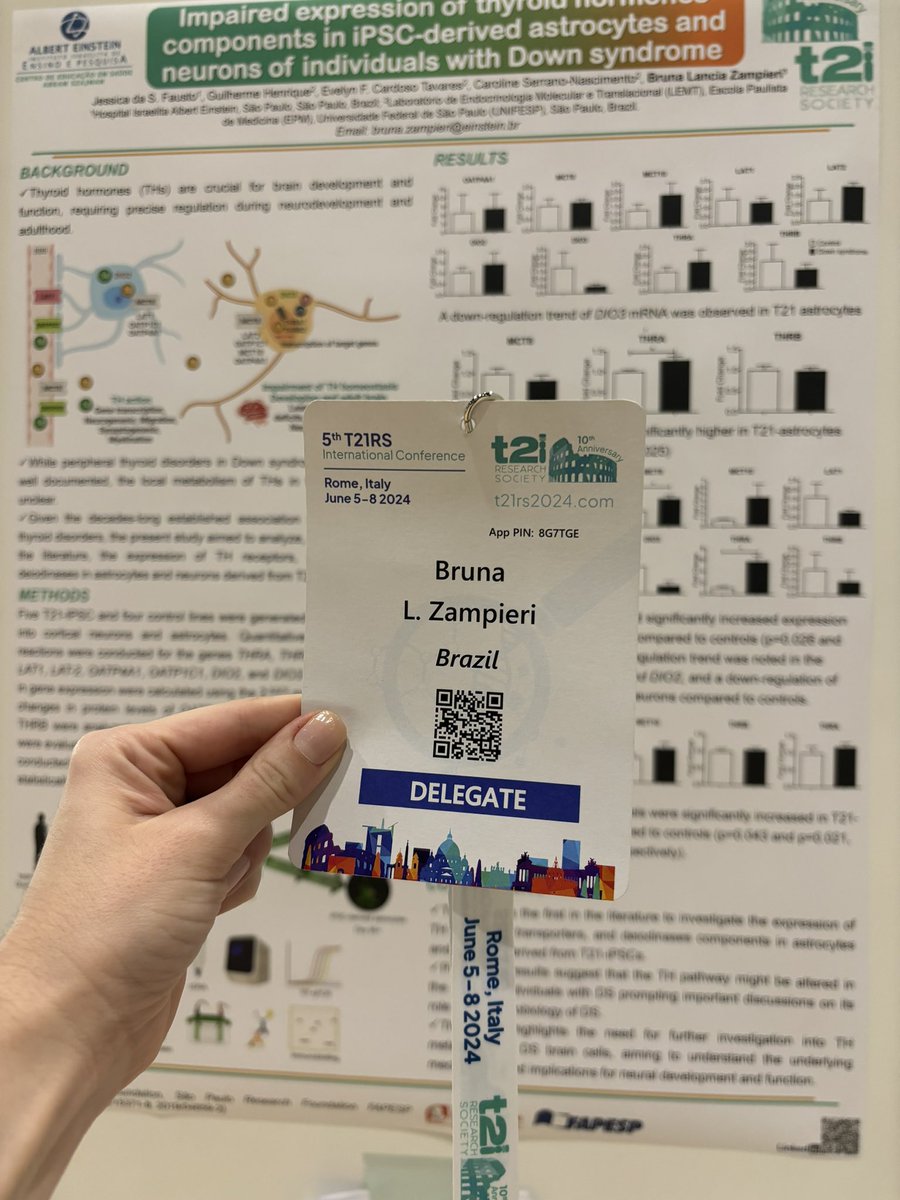 Bruna (@brunazampieri) on Twitter photo Excited to share our preliminary results on thyroid metabolism in astrocytes and neurons derived from iPSCs generated from urine samples of individuals with #Downsyndrome. This pioneering investigation’s been receiving good feedback at the <a href="/t21rs/">Trisomy 21 Research Society</a> International Conference in Rome! Excited to share our preliminary results on thyroid metabolism in astrocytes and neurons derived from iPSCs generated from urine samples of individuals with #Downsyndrome. This pioneering investigation’s been receiving good feedback at the <a href="/t21rs/">Trisomy 21 Research Society</a> International Conference in Rome!