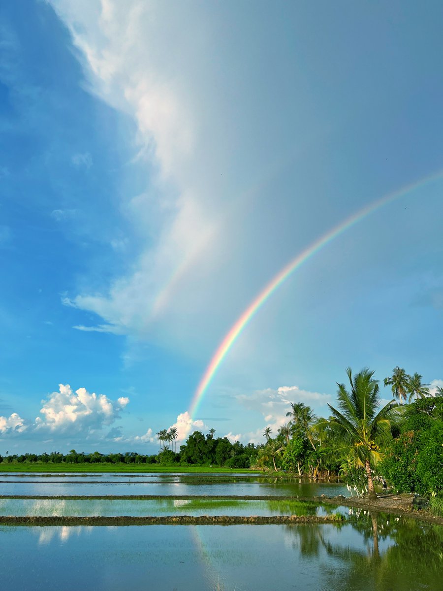 IzzraifHarz's tweet photo. View lepas hujan dekat Perlis petang ni. https://t.co/P68N287nFV