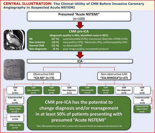 In a pilot study including 100 patients presenting with suspected NSTEMI, a CMR-first strategy identified MI in 67%, non-ischaemic pathologies in 18% and normal  findings in 11%. has Accordingly, CMR has the potential to impact at  least 50% of all patients by reclassifying their