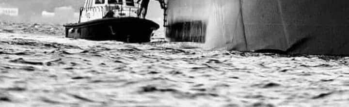 لا قيمة للخشب أمام الذهب
لكن عند الغرق ستتمسك بالخشب،
ولن تلتفت إلى الذهب، 
قيمة الشيء تتضح عند الحاجة إليه.