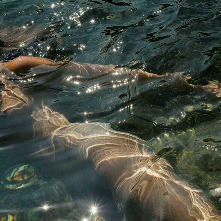 elemmiressoul's tweet photo. feel the sea.🐚🪸 https://t.co/9SH69NyfB7