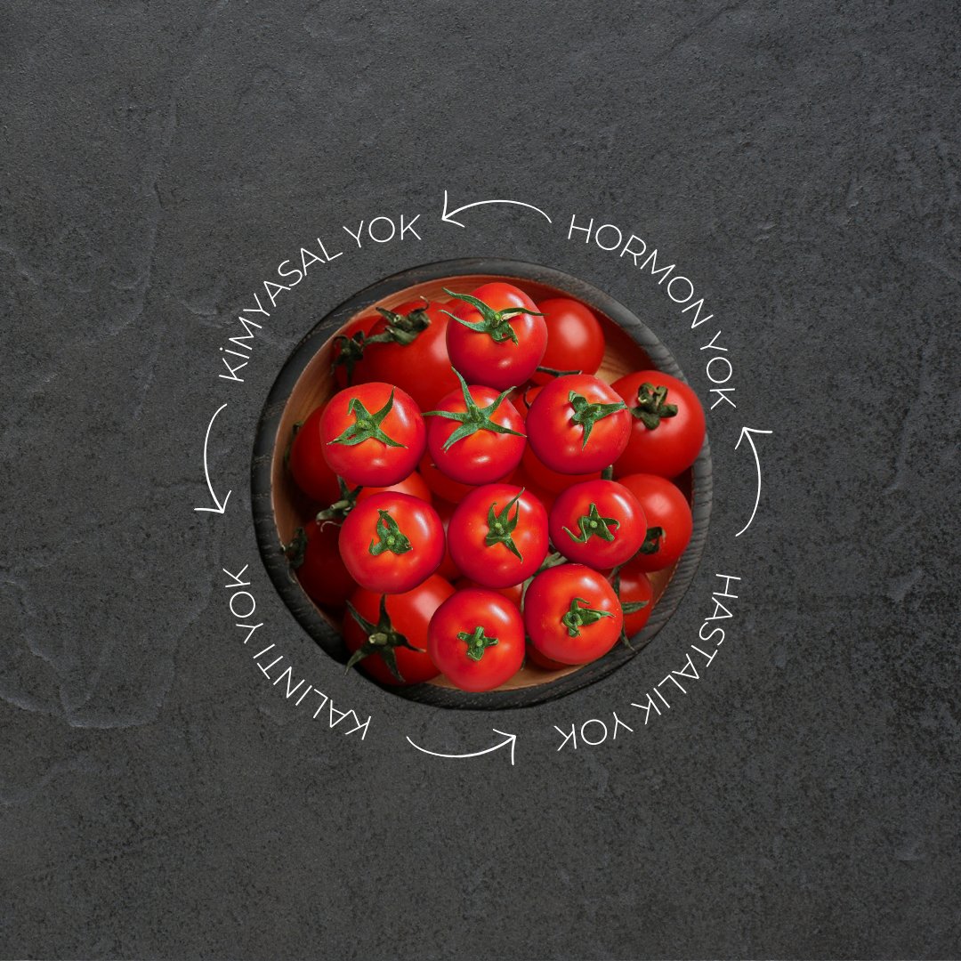 agrotermal's tweet photo. Taze, lezzetli, kalıntısız ve doğal Agro Termal domateslerini sizin için özenle hasat ediyoruz 🍅
#agrotermal #jeotermalsera

We carefully harvest fresh, delicious, residue-free and natural Agro Termal tomatoes for you 🍅
#agrotermal #jeotermalsera https://t.co/9Ga3hn4jPd