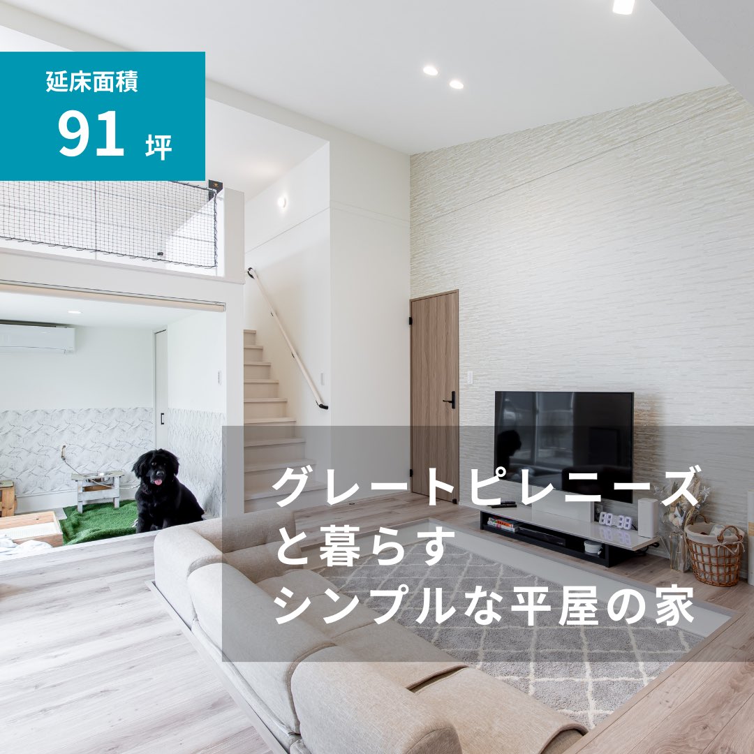 Aidesignhome's tweet photo. 『グレートピレニーズと暮らすシンプルな平屋の家』

間取り：3LDK＋ワンちゃんスペース＋ロフト＋ファミリークローゼット
延床面積：302.46m²（91.4坪）
敷地面積：103.51m²（31.3坪）

💡見どころ💡
小屋裏スペースを利用した勾配天井とロフトを設け立体感のあるLDK空間に。

#アイデザインホーム https://t.co/KoApC1e0Tg