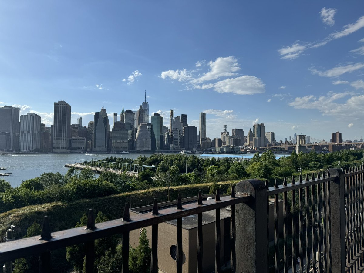 Jara Montez 🪲 tweet media