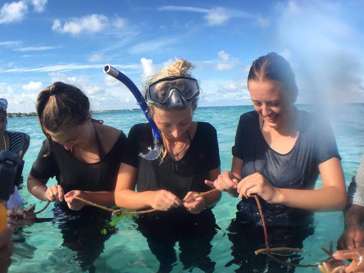 sunshadevol's tweet photo. 🌊 Happy World Ocean Day! 🌊

This year's theme, *Catalysing Action for Our Ocean &amp; Climate*, emphasizes the urgent need to protect our oceans and address the climate crisis. Let’s join forces for a sustainable future! #WorldOceanDay #OceanProtection #ClimateAction https://t.co/UVvR4K5KVC