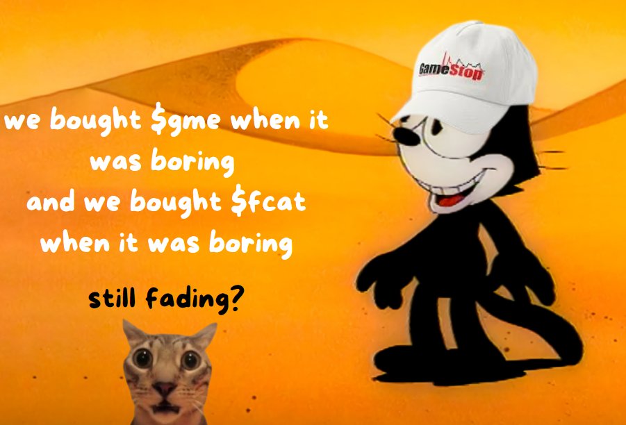 felixthechat tweet media