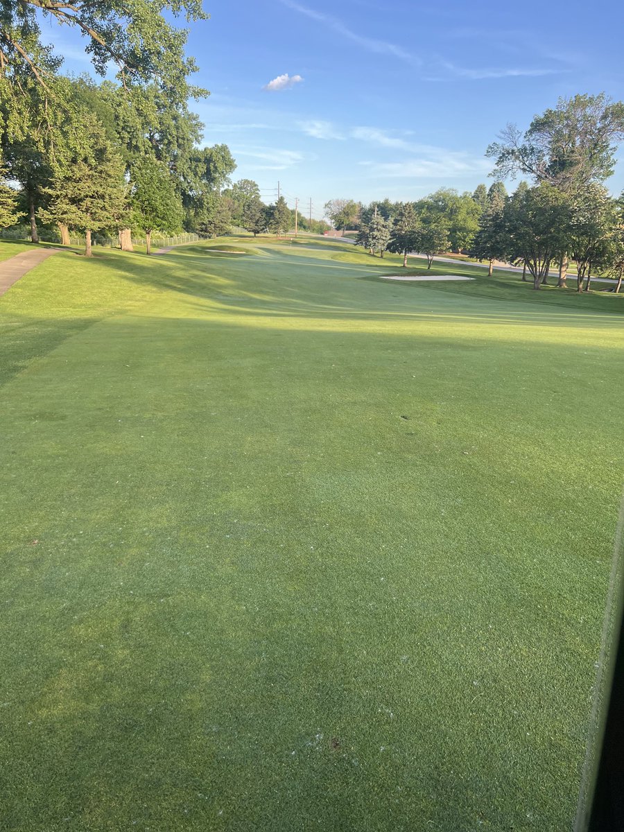 It is amazing how the PBI Gordon product Attrimec is stopping the cottonwood trees from seeding. So much nicer to not have the cotton floating around.