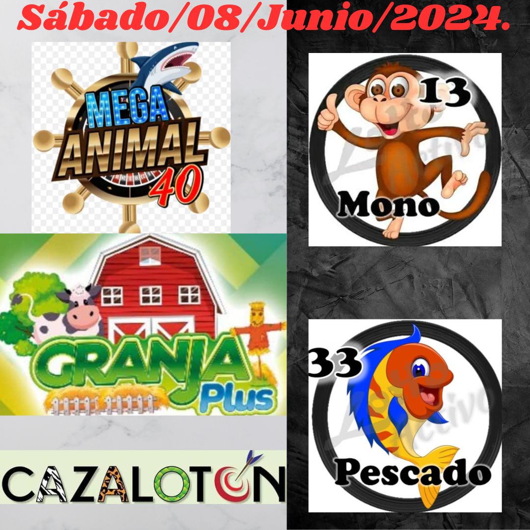 ElGordoDeOro3's tweet photo. Sábado/08/Junio/2024.
🎁#RegalosAbiertos 
🦈#MegaAnimalitos 👨‍🌾#GranjaPlus 🏹#Cazalotón

 #RegalosAbiertos #ElGordoDeOro3 #Instagran #elgordodeoro3_official #Twitter #TikTok #Subscription #ElReydelosPronosticos #Tendencias #viralpost  #Ganadineroconmigo https://t.co/xhU82WWbuE