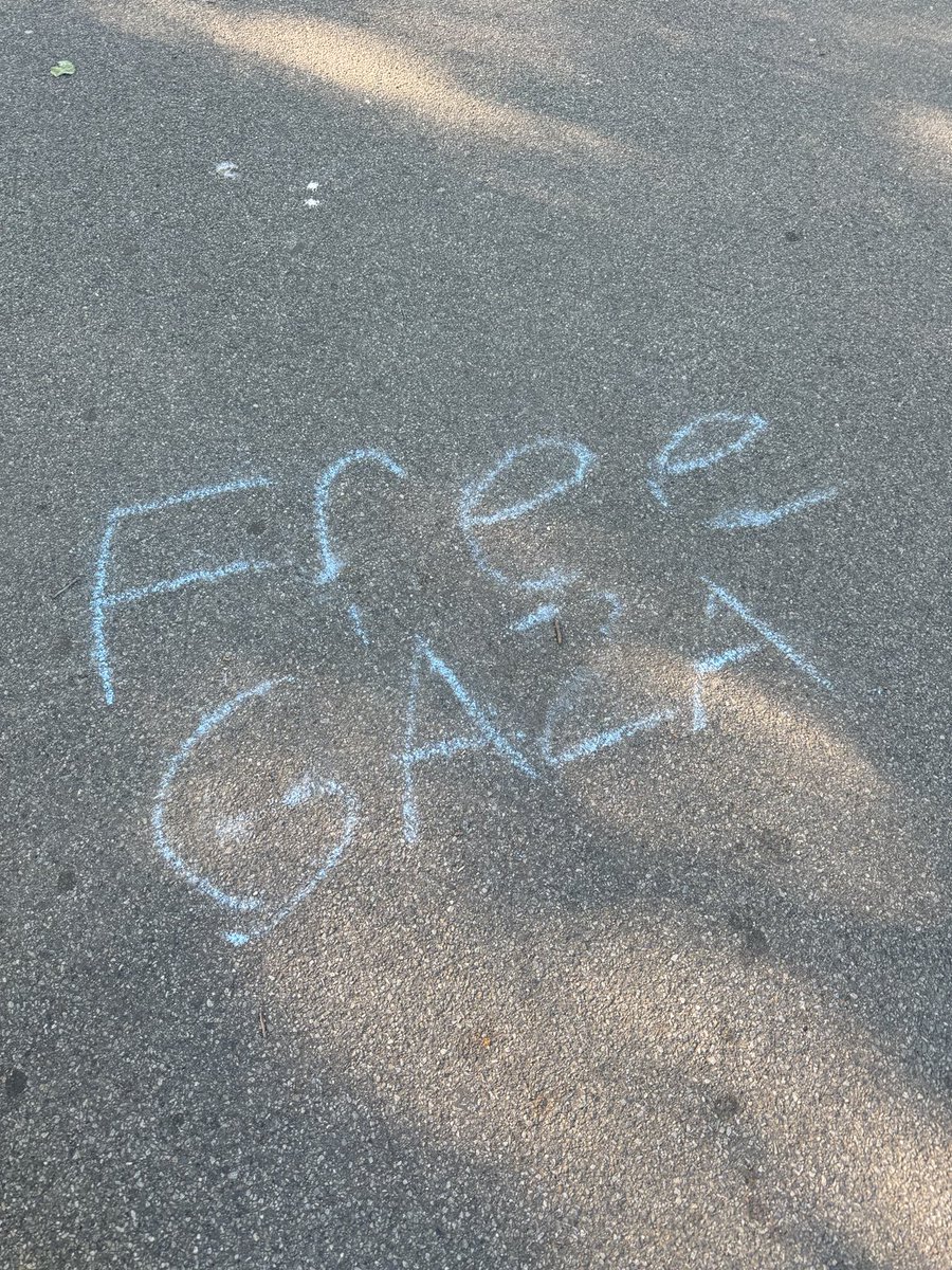 desari's tweet image. 