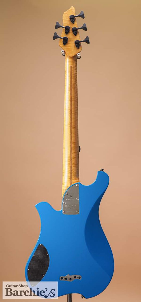 長年探してた34インチでLowB弦が使える5弦プレベと運命的な出会いを