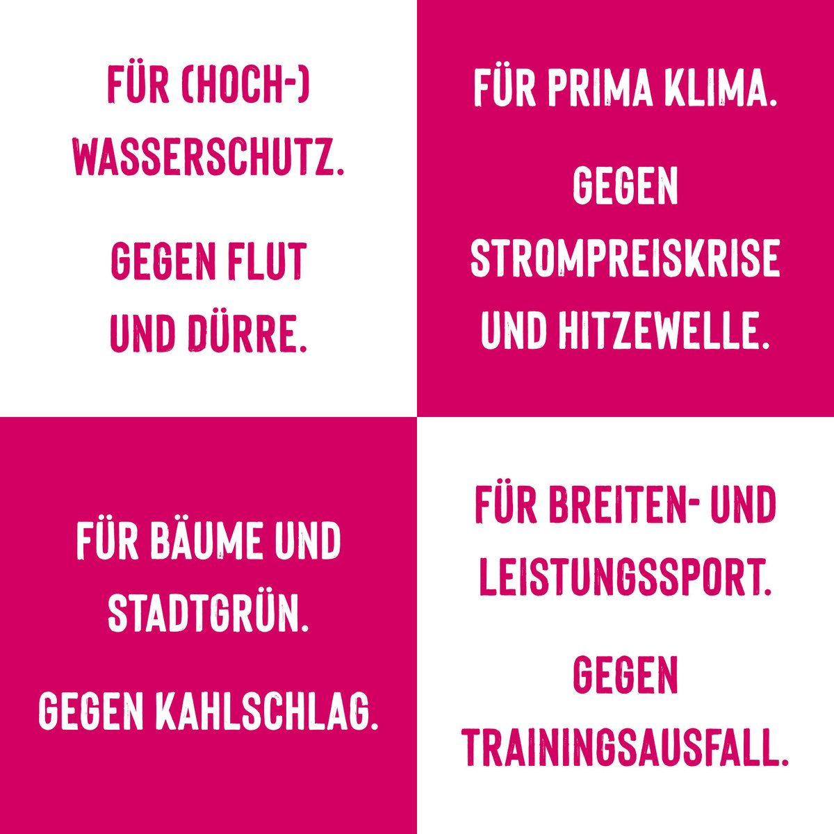 futuremagdeburg's tweet photo. Der Wahltag steht vor der Tür. Morgen früh um 8 Uhr öffnen die Wahllokale. Hier als Überblick unser Wahlprogramm in Kurzform - und auf unserer Homepage unter https://t.co/d2IziwDssa auch ausführlich. Daher: Wähl lokal - mit allen drei Stimmen für @futuremagdeburg 🗳️🙏 #Magdeburg https://t.co/HHKgu8rm9r