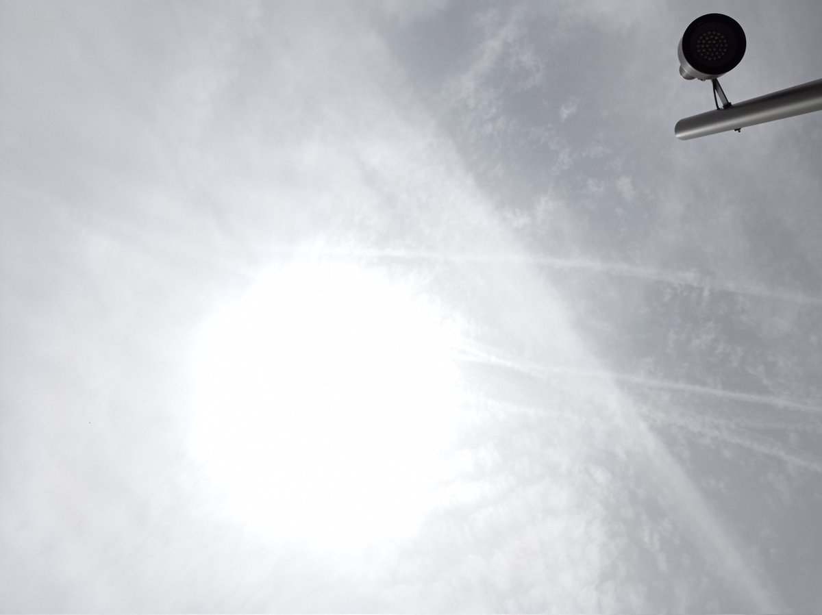 Ei <a href="/btveltemps/">btv el temps</a> com va la vostra pols sahariana?
Barcelona, capital del pantà globalista.