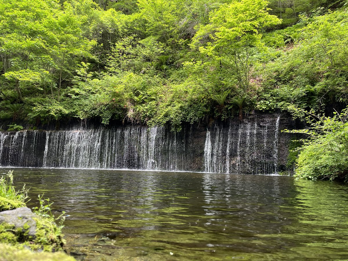 kyoGTR's tweet photo. #八ッ場ダム
#草津温泉
#白糸の滝
#碓氷第三橋梁 https://t.co/TYx9kIuuTl
